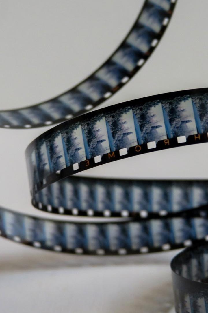 Государство. Законность. Честь