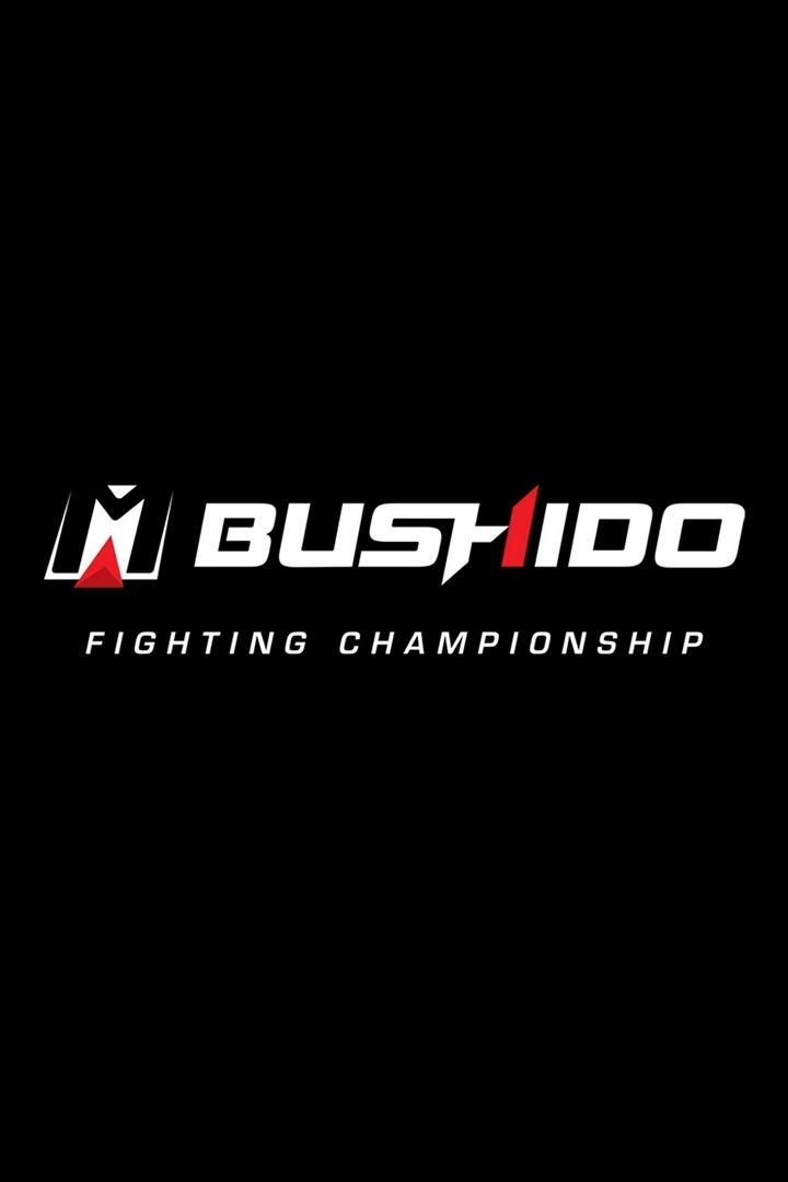 Турнир Bushido Fighting Championship Featherweight Grand Prix 2020 (MMA, кикбоксинг и бокс-профессионалы)