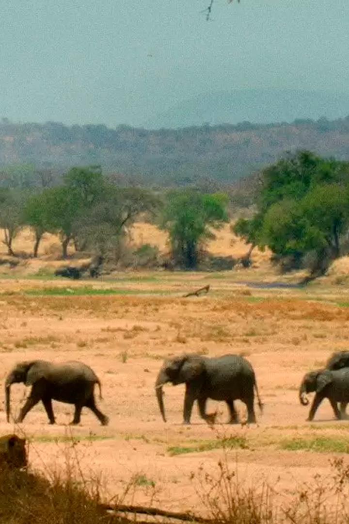 Последнее убежище