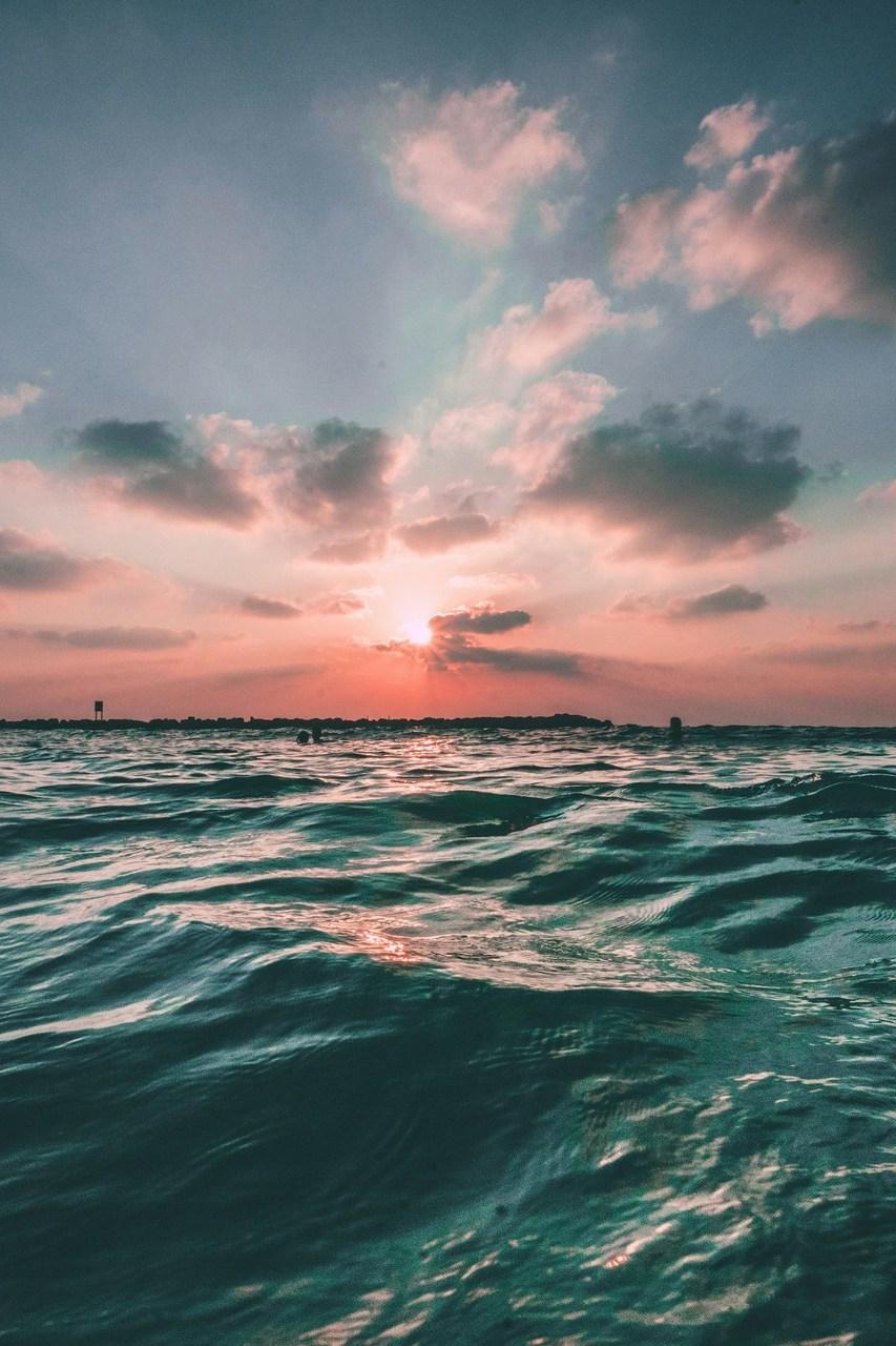 Белое море: вчера, сегодня, завтра