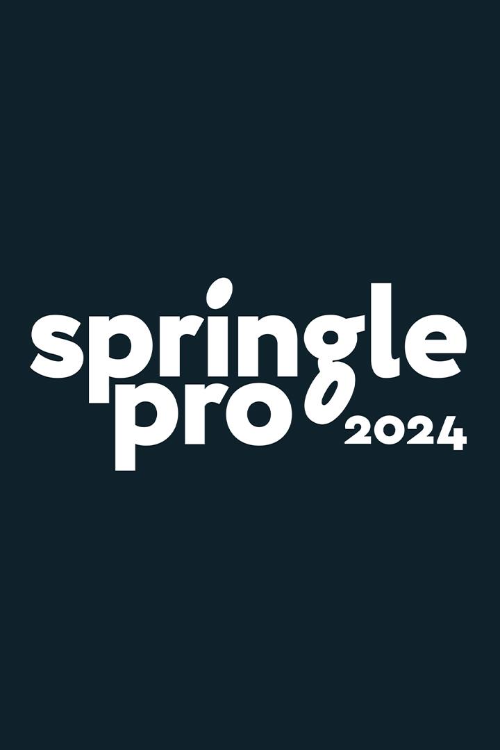 Алтимат. Springle Pro 2024. Финал. Мужчины
