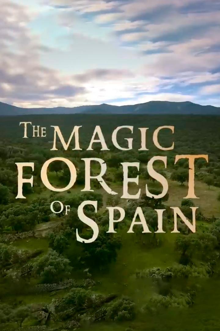 Магический лес Испании