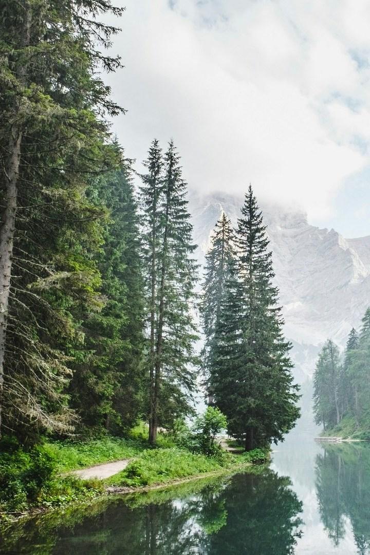 Лесной человек