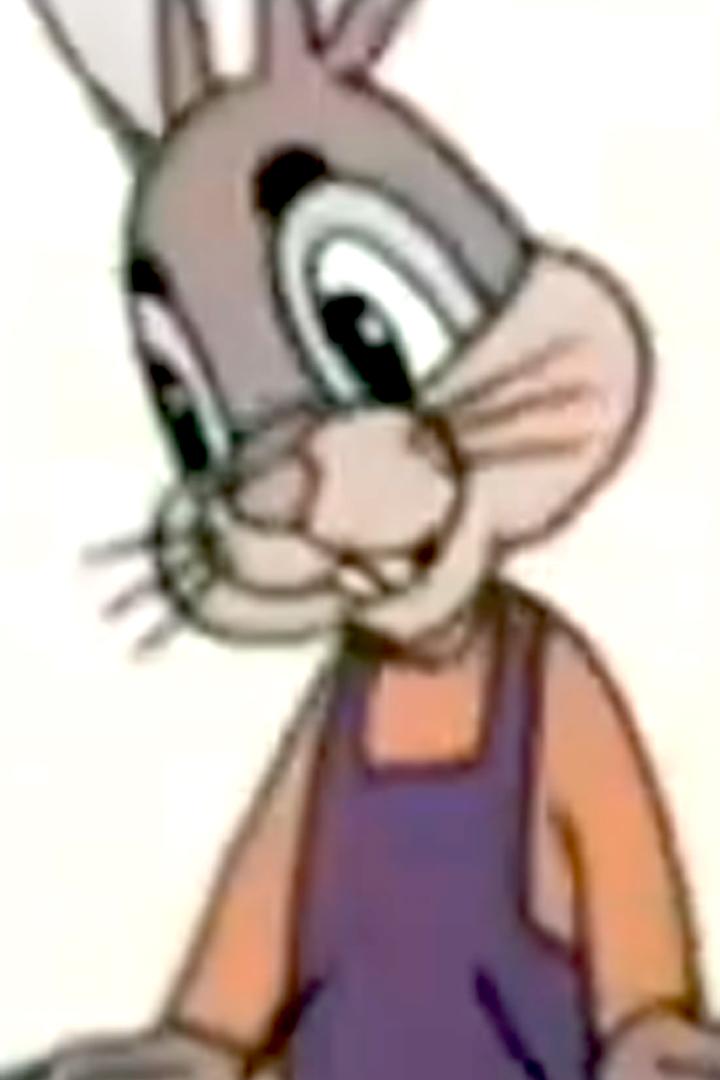 Сами виноваты