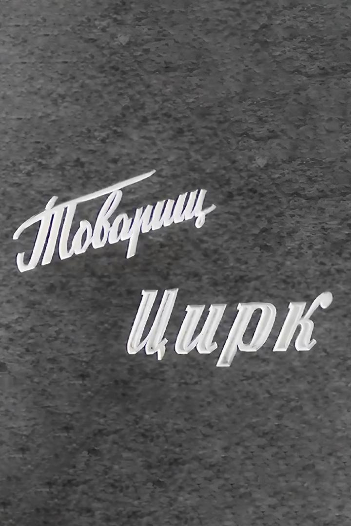 Товарищ цирк