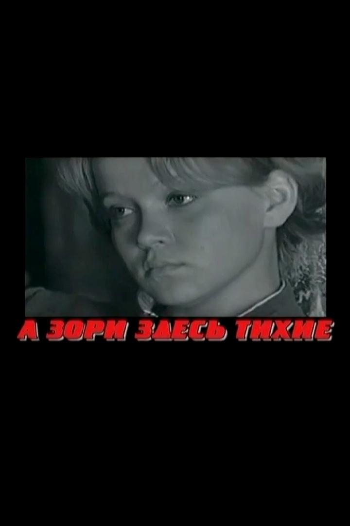 Живая история: "А зори здесь тихие…"