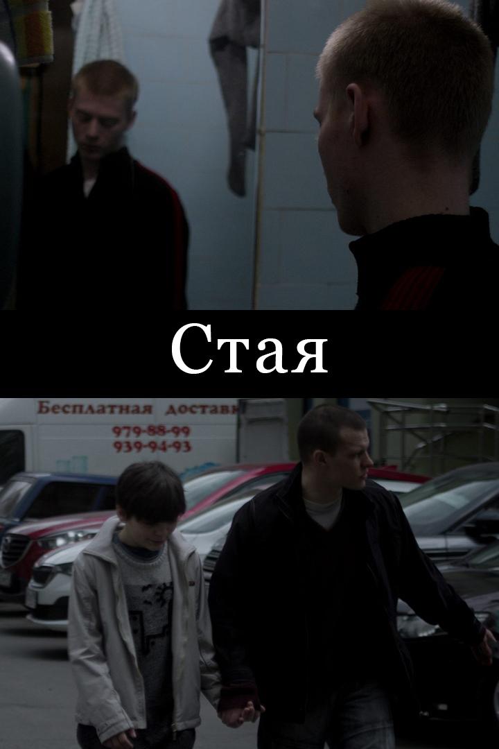 Стая