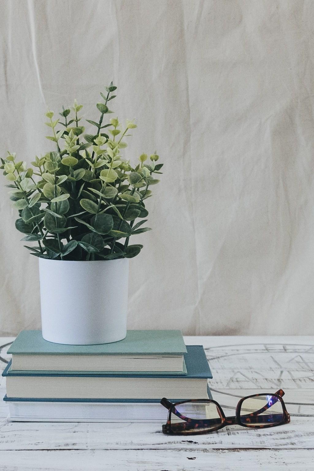 Такса: история породы с Алексеем Бариновым