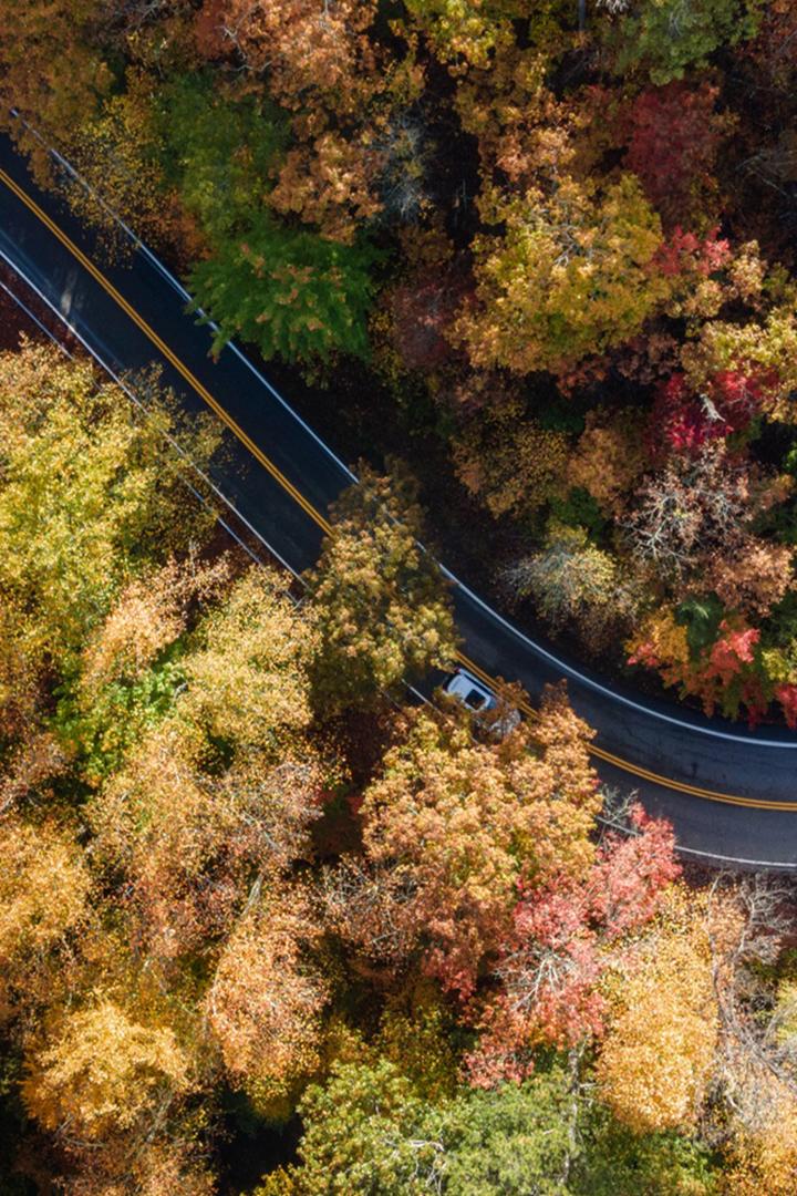 "Хвост дракона": Самая опасная трасса Америки