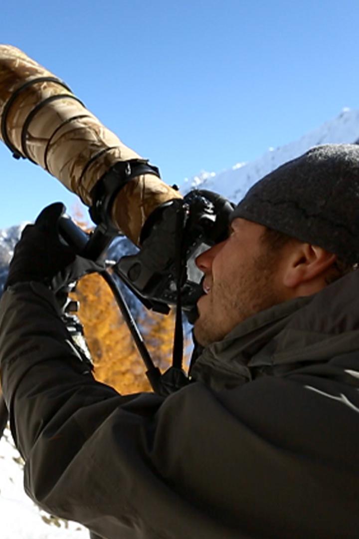 Первозданные Альпы