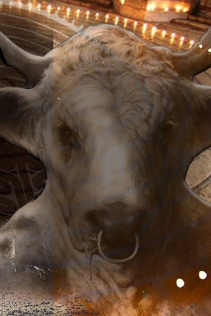 Лабиринты. Миф, магия и наука