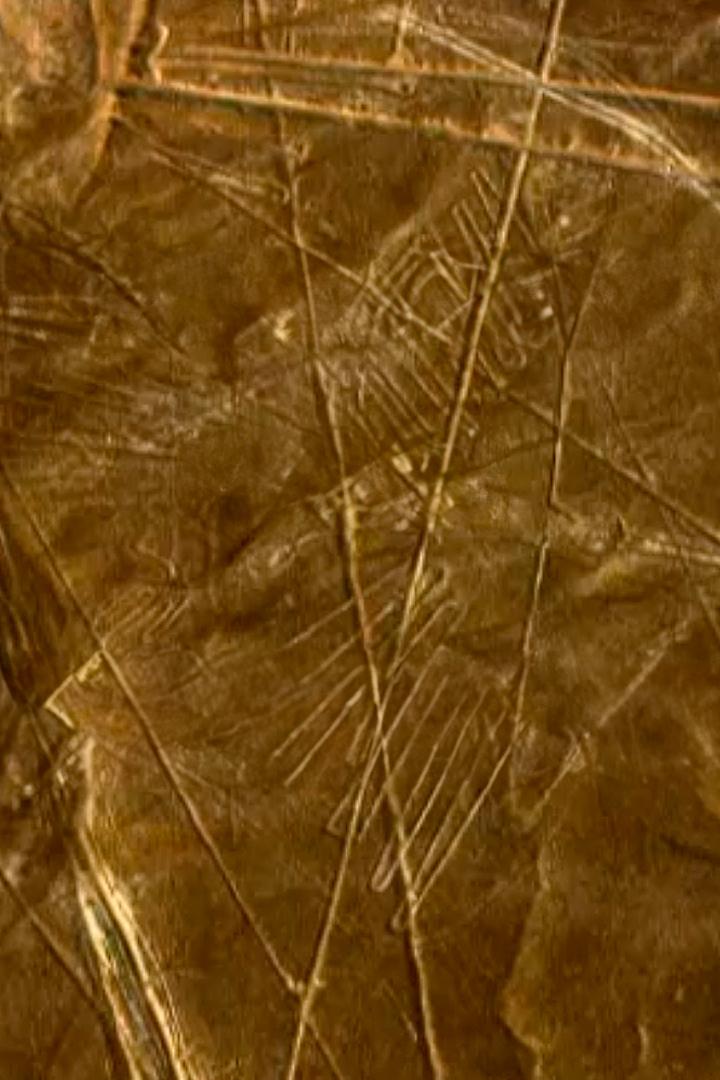 Наска - за гранью логики