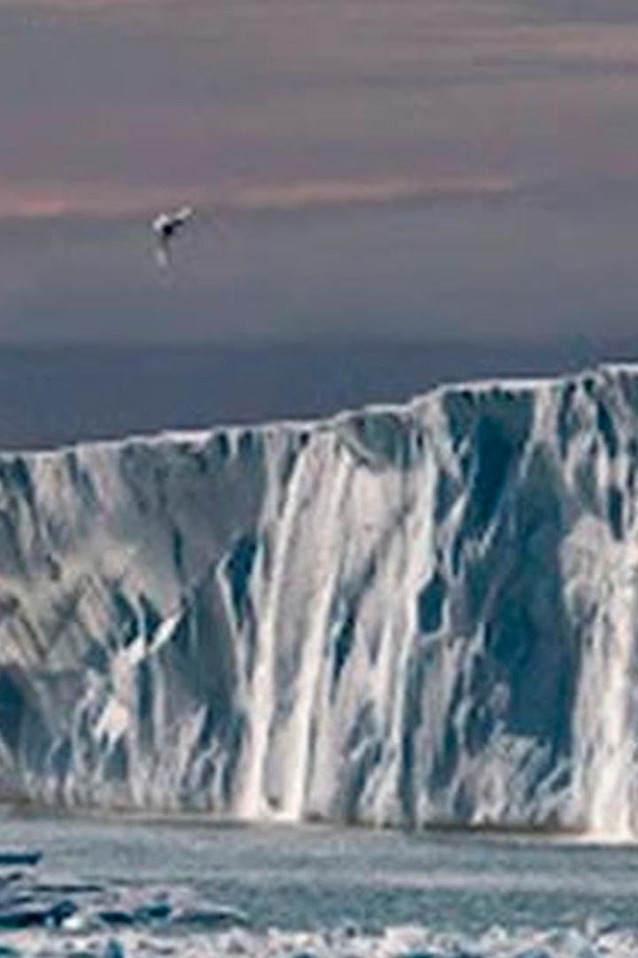 Жемчужина Арктики