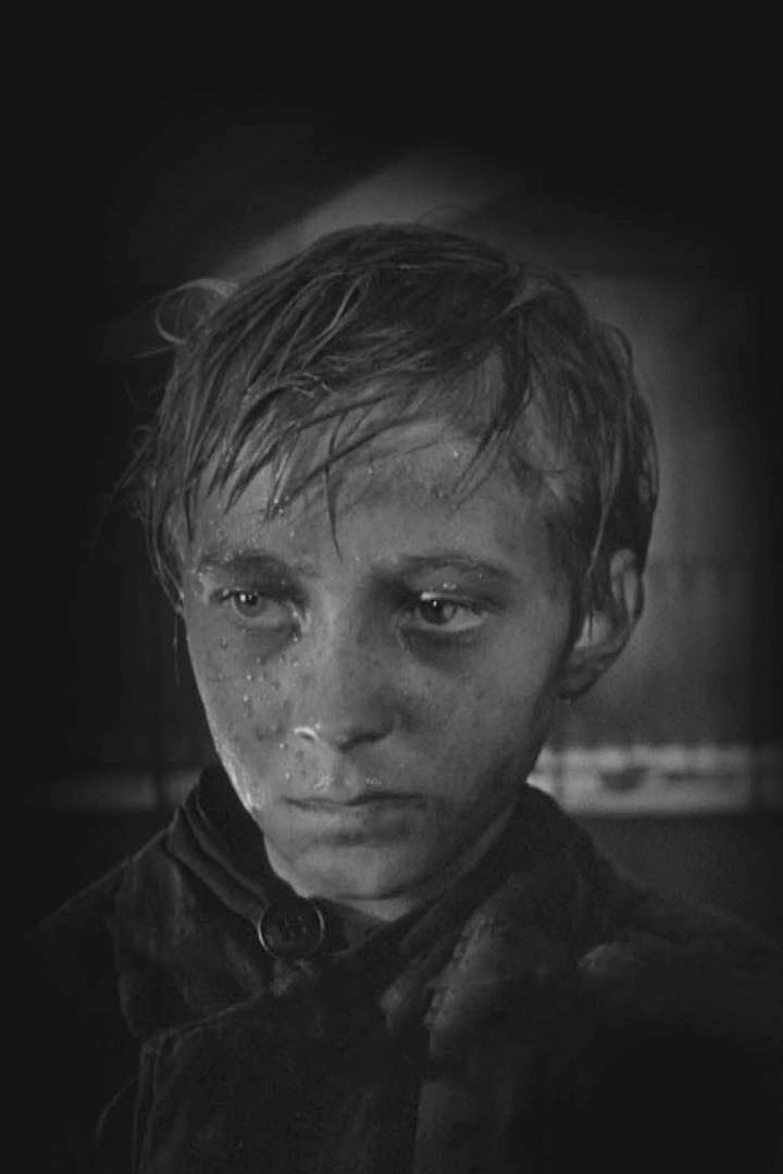 "Иваново детство". Учти, он парень с норовом!