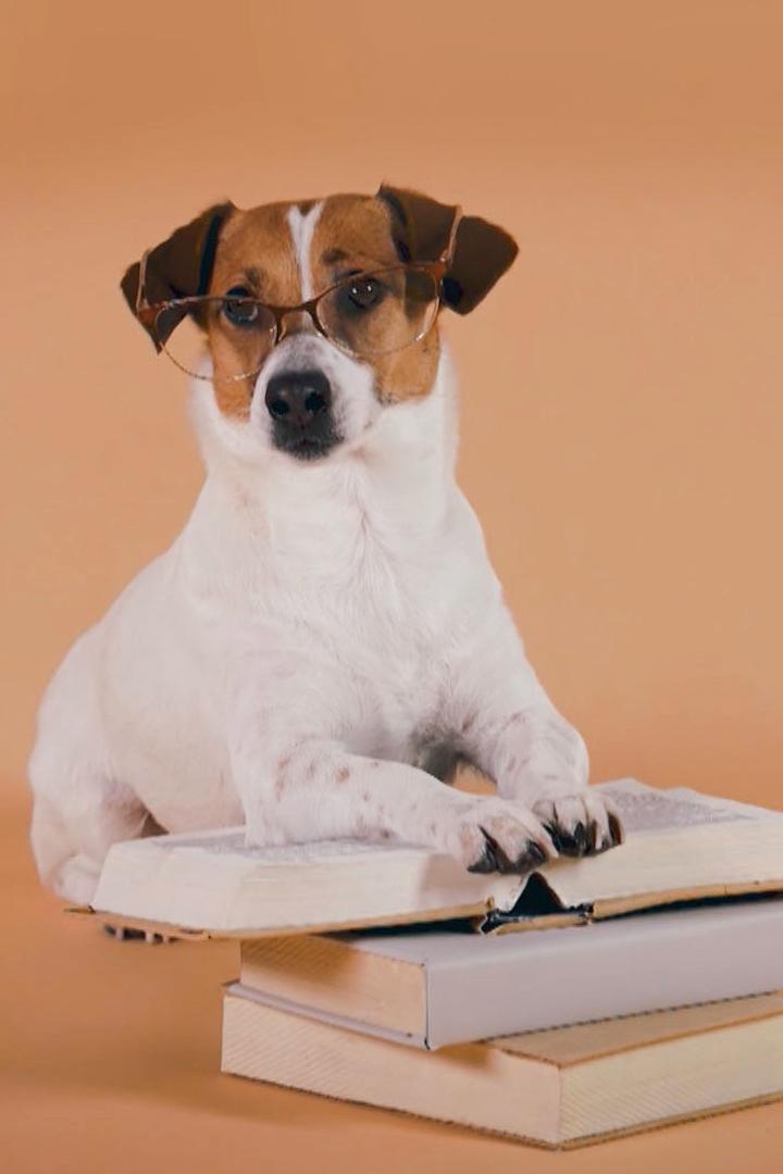 Дикие и домашние