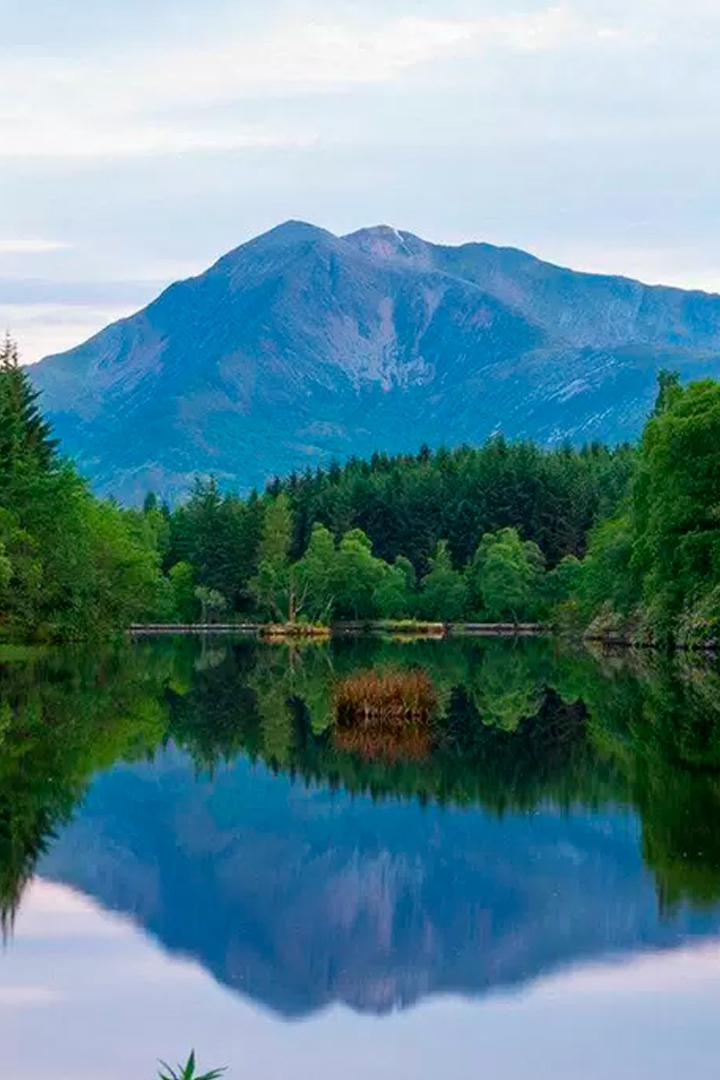 Живая Природа