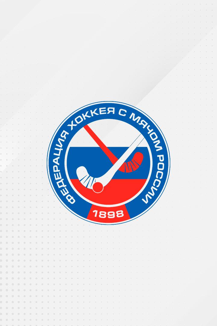 Хоккей с мячом. Суперлига. Водник (Архангельск) - Мурман