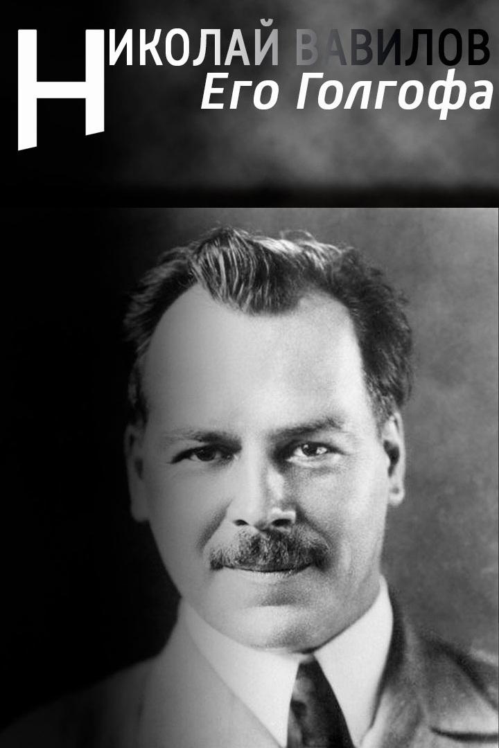 Его Голгофа. Николай Вавилов