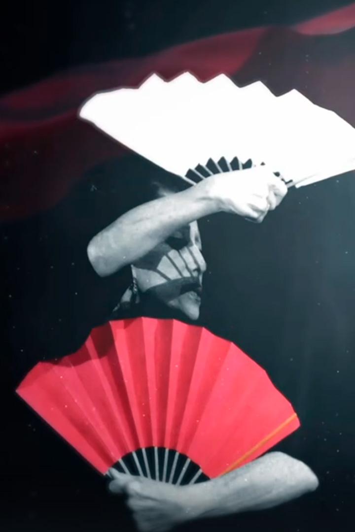 Майя Плисецкая, которую мы не знали