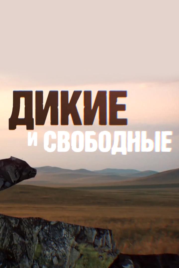 Россия: "Дикие и свободные"