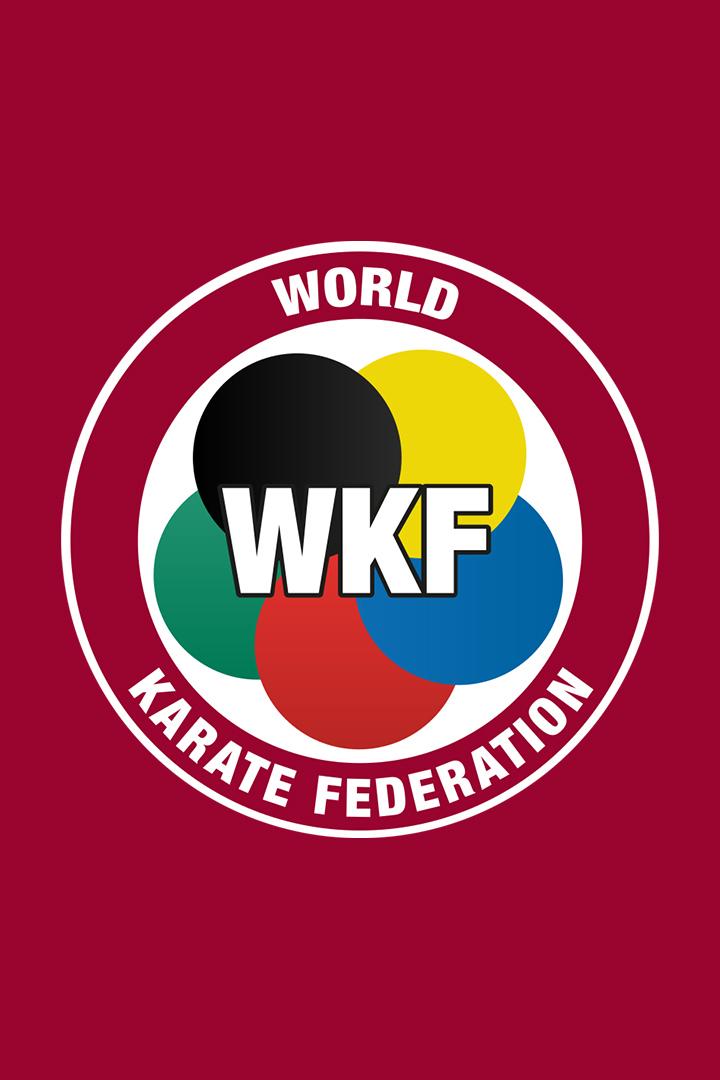 Карате. Чемпионат мира 2024. Полуфинал