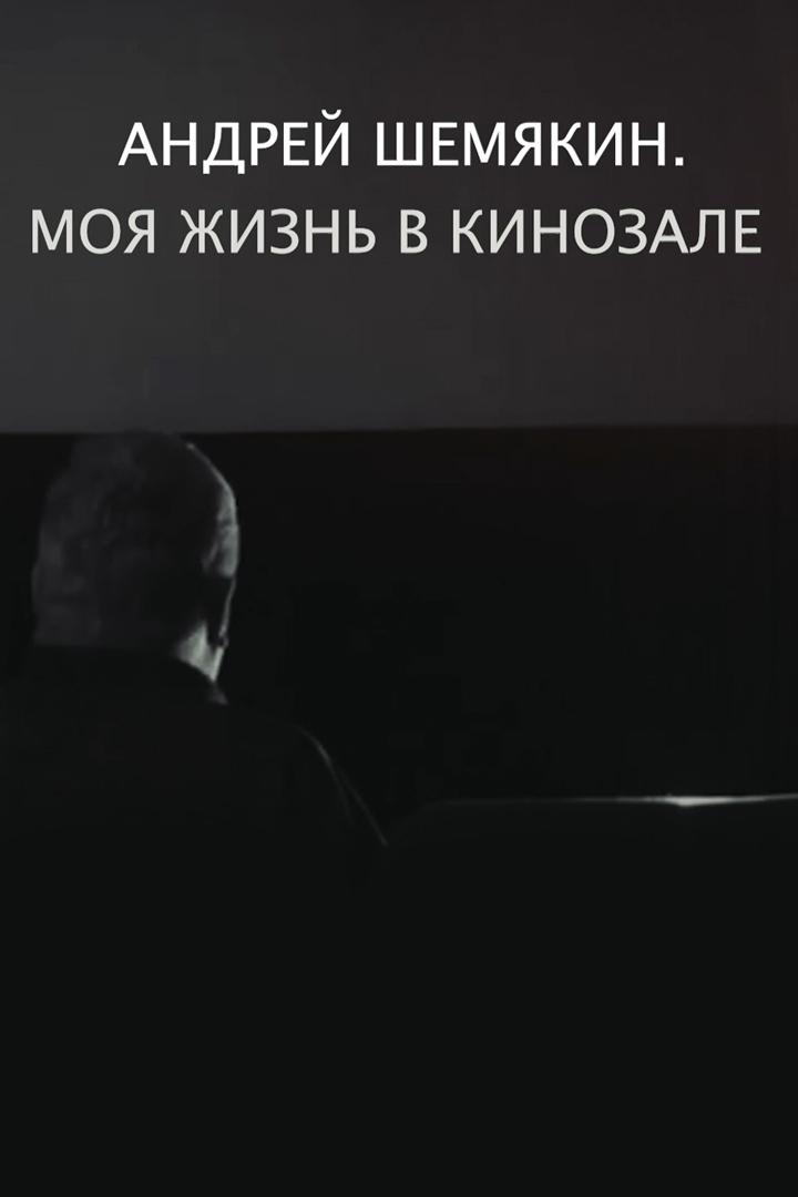 Моя жизнь в кинозале