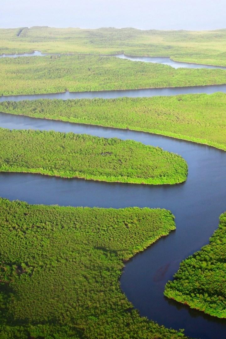 Истоки ручья Озёрный