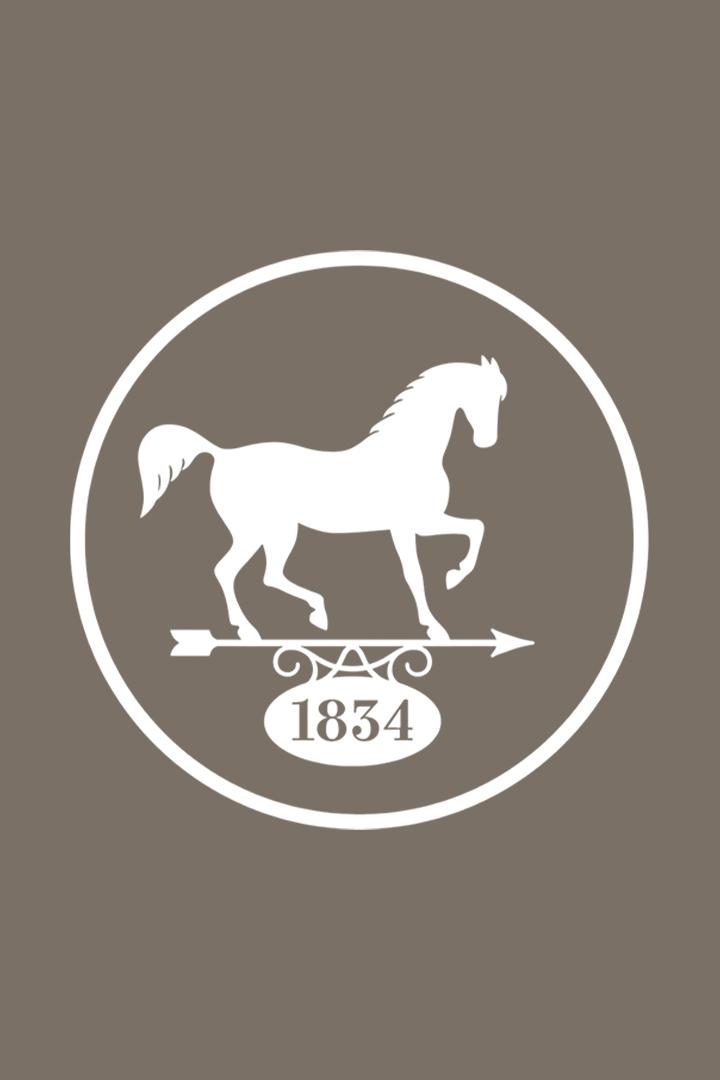 Скачки на Приз Президента Российской Федерации. 2018 год. Трансляция из Москвы