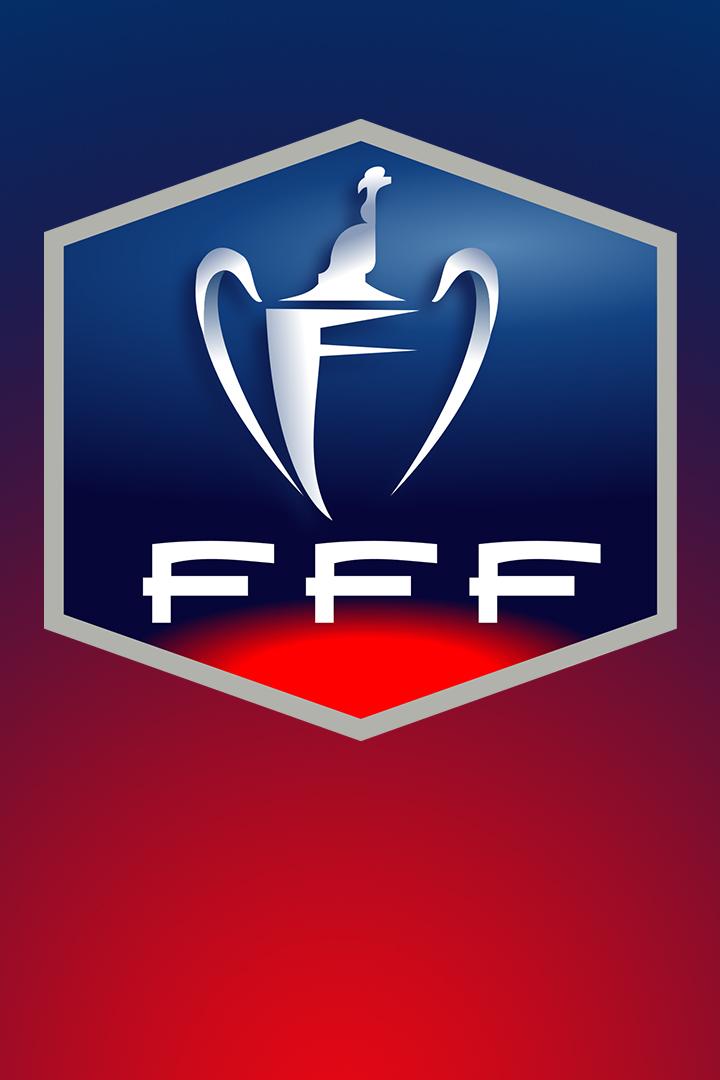 Футбол. Кубок Франции. Руан - Лилль