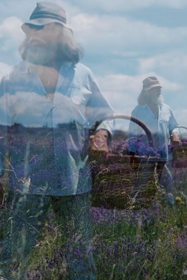 Аргентинцы в Крыму