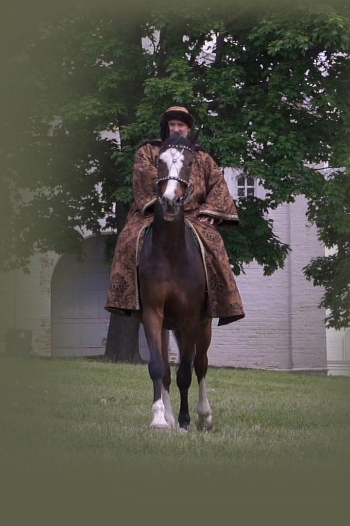 Жил-был царь