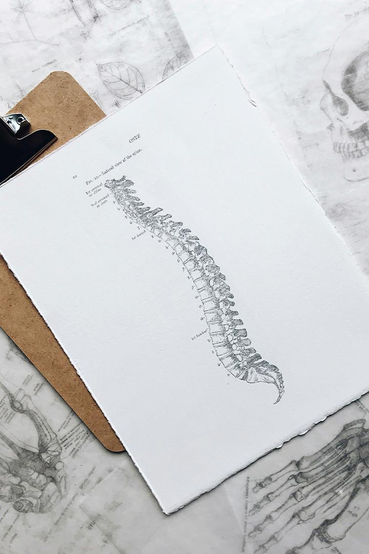 Остеопатия и здоровье