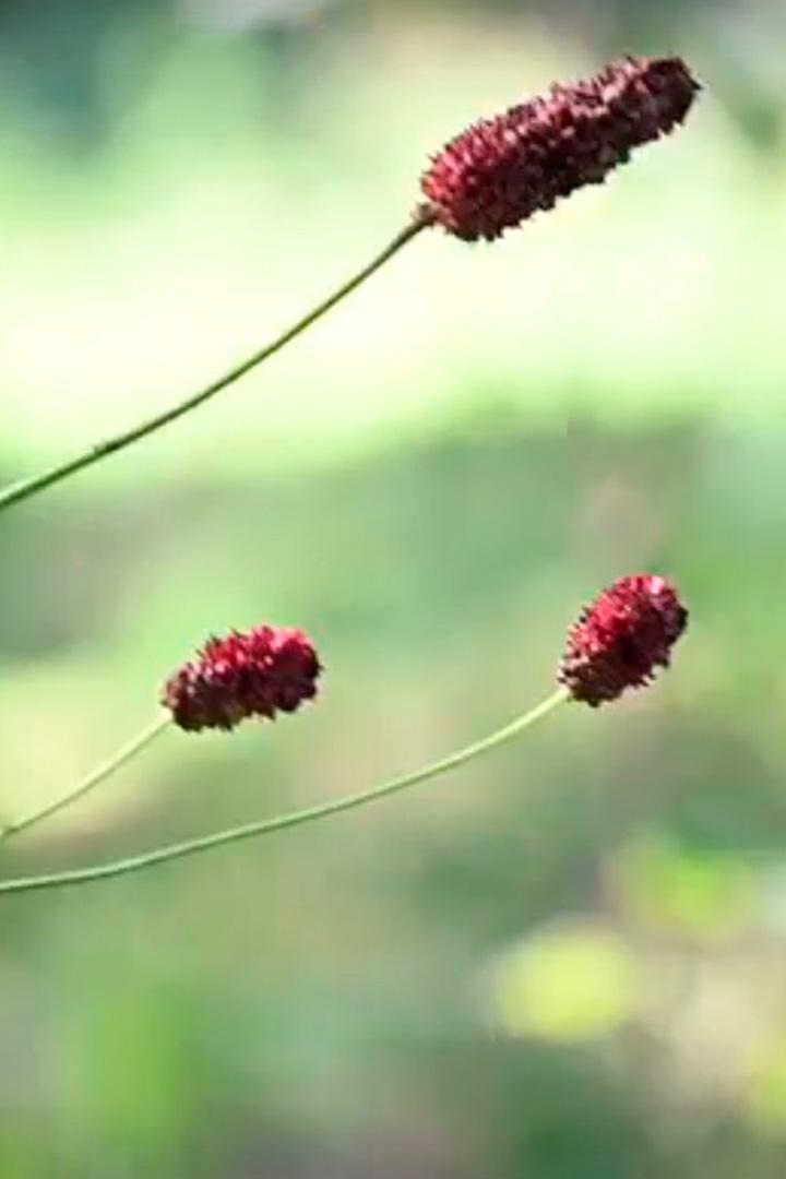 Однажды осенним днём