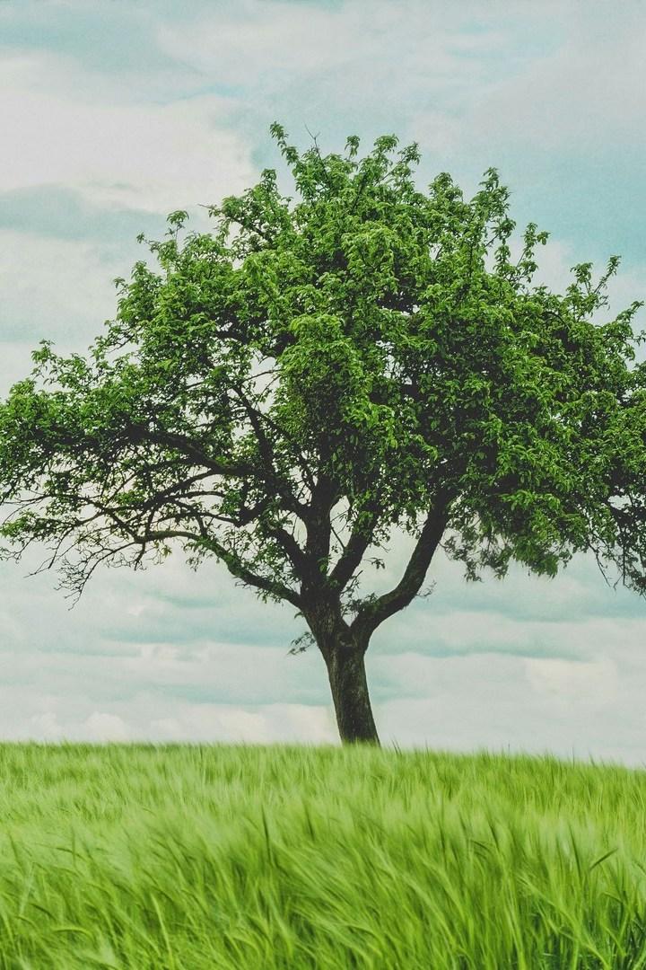 Города и пейзажи Казахстана