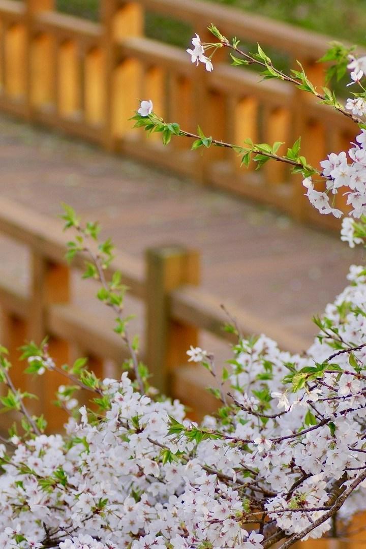 Таинственный мир Азии