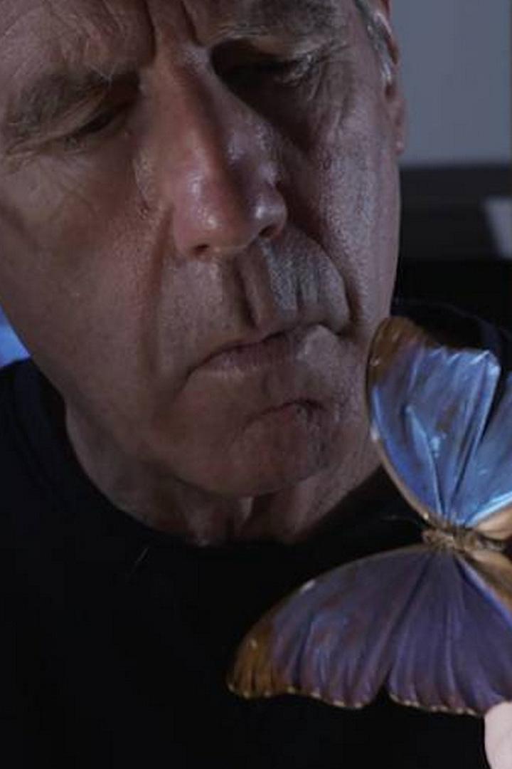 Наука на крыльях бабочки