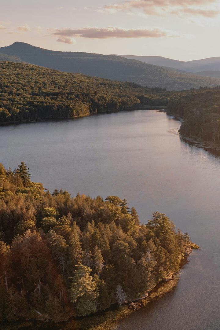 Таёжный промысел