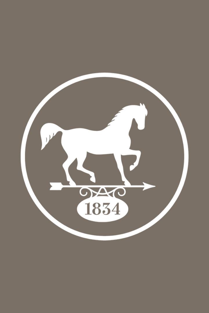 Скачки."Сады Придонья"Большой Всероссийский приз (Дерби). 2023 год