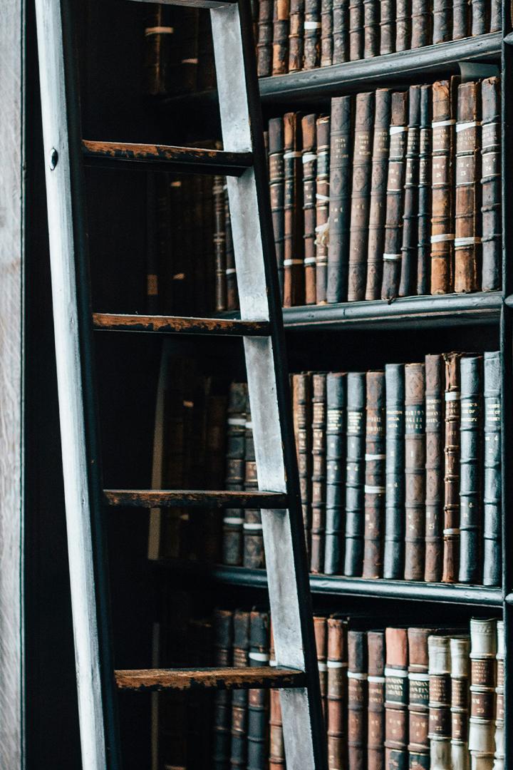 Освобождение Ставрополя