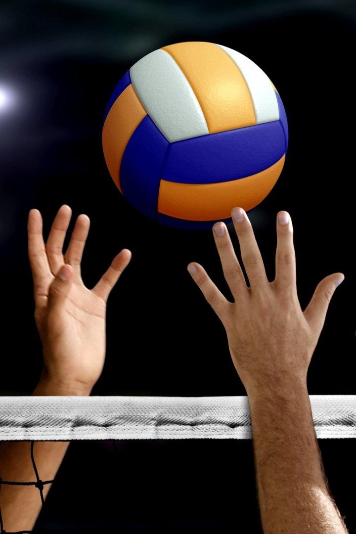 Чемпионат России по волейболу. Суперлига. Локомотив (Новосибирск) - Динамо-ЛО (Сосновый Бор)