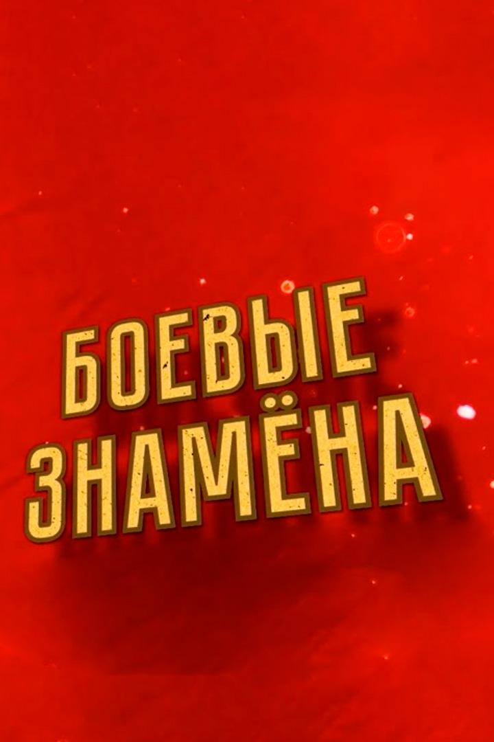 Боевые знамена