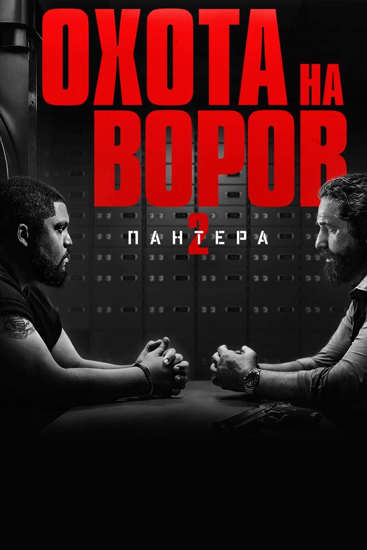 Охота на воров 2: Пантера