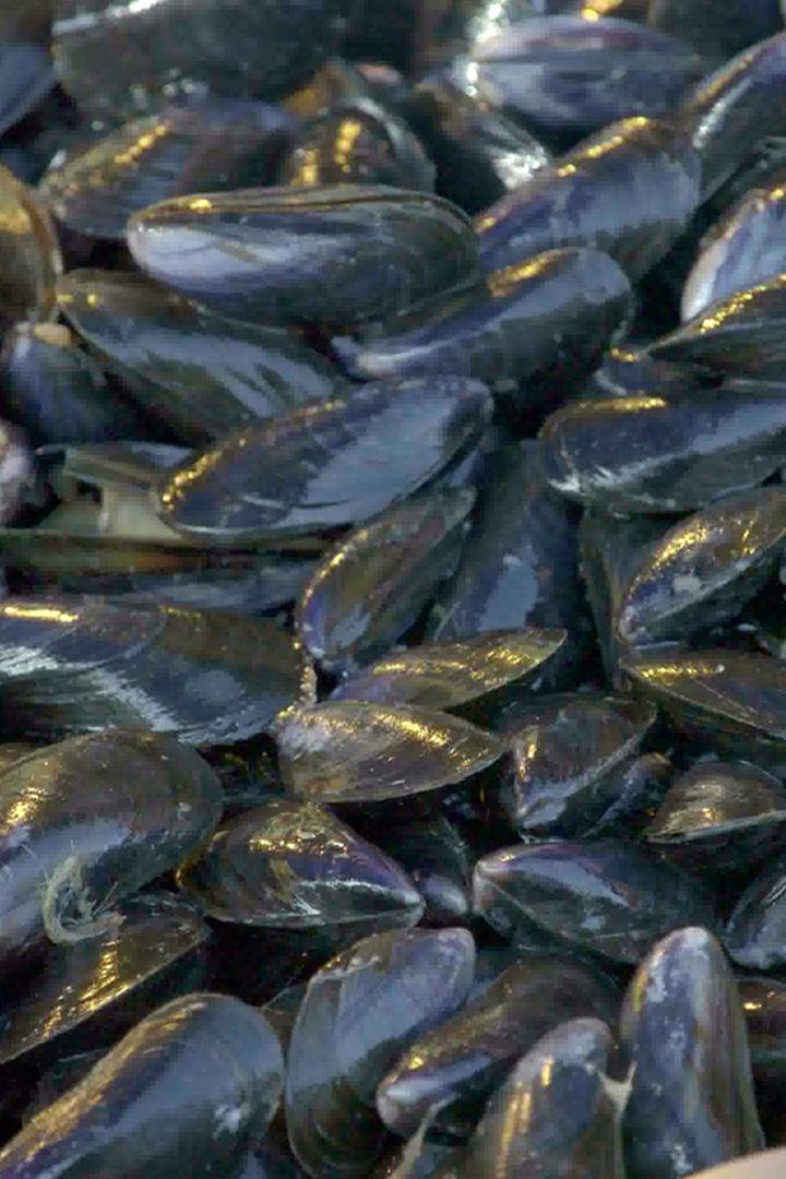 Нормандский рыбный рынок