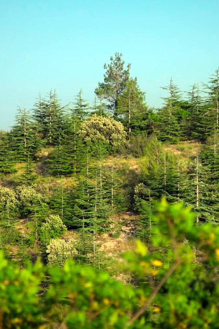 Коммуна Банон во Франции