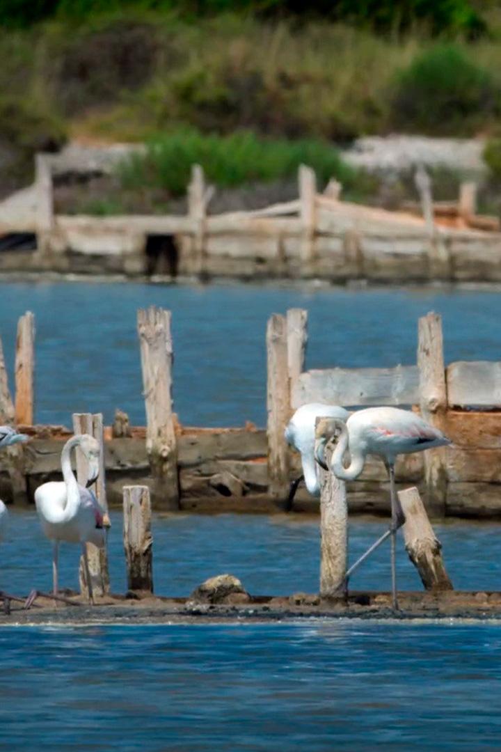 Лагуна Этан дэ Бер на Лазурном берегу