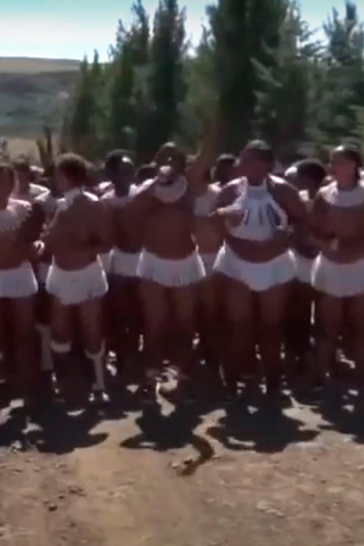 Африканское племя Зулусы