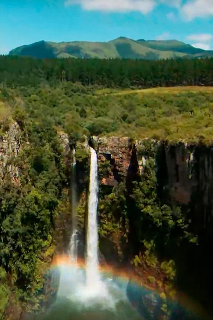 Гигантские манты Западного Папуа