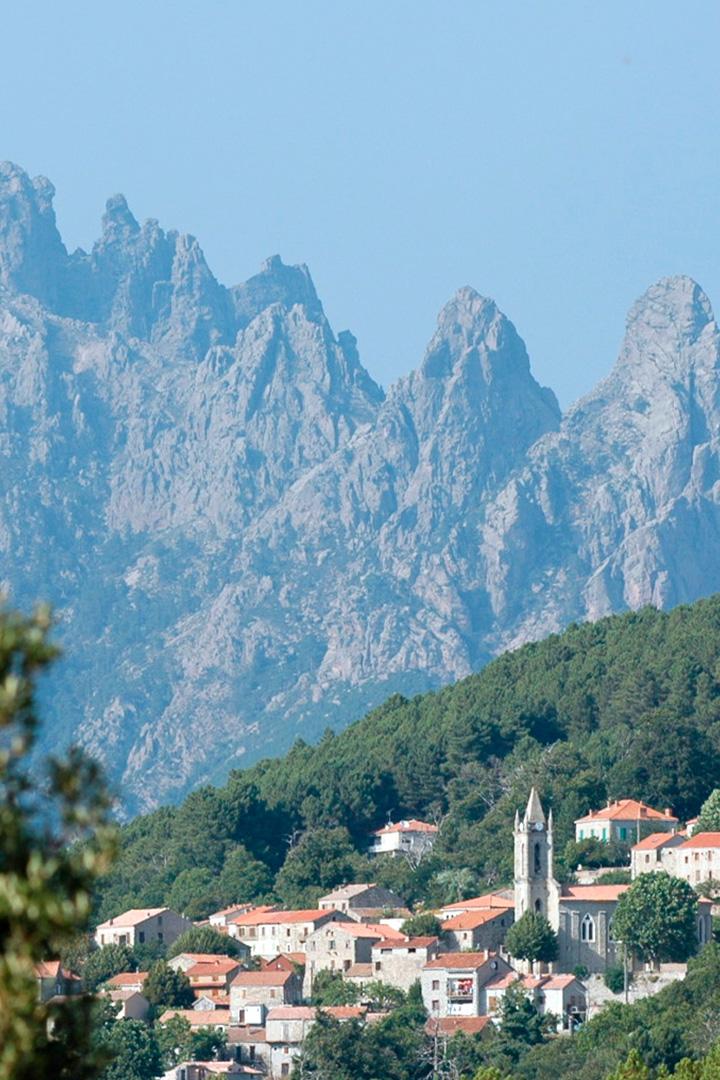 Корсиканская Бавелла