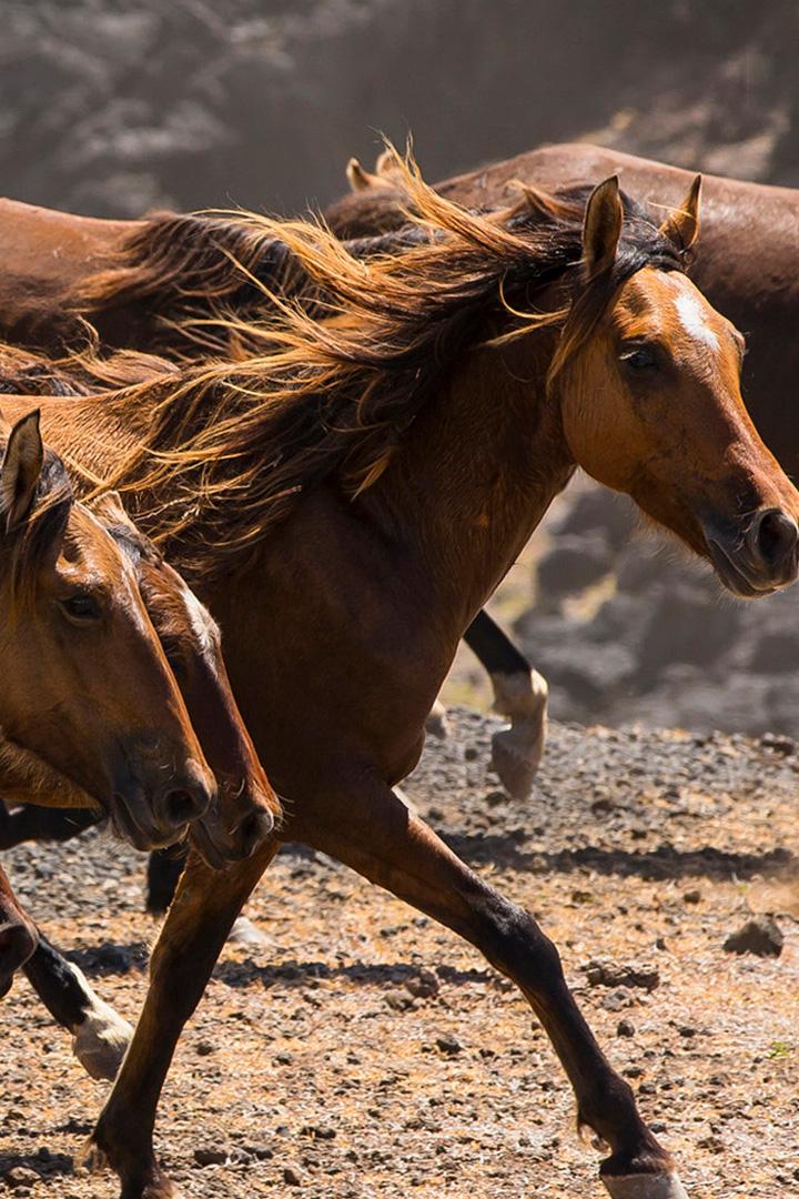 Земля людей и традиций на Маркизских островах