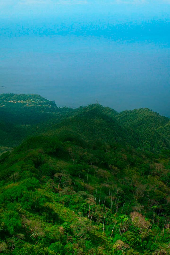 Общий взгляд на Мартинику